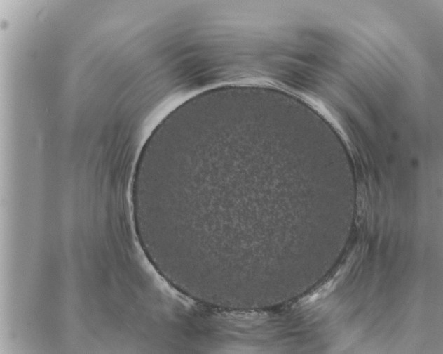 X0000086890959200704231125