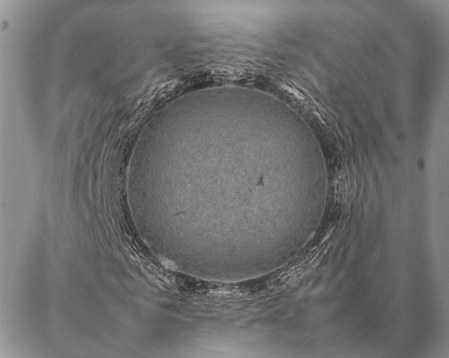 X0000086890961200704231124