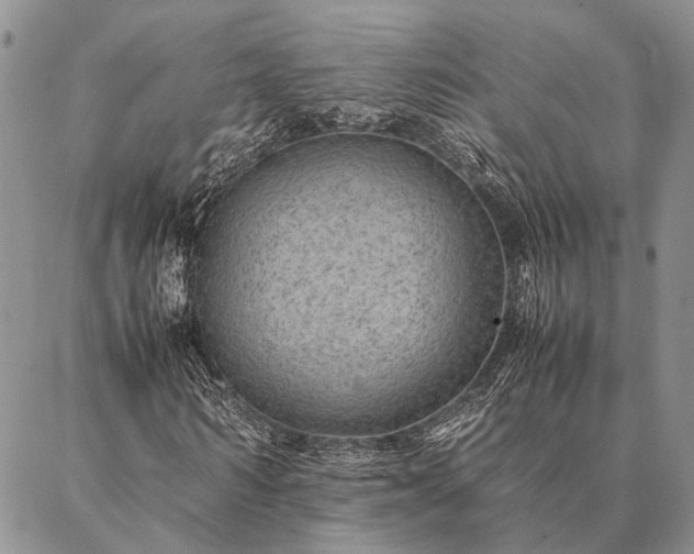 X0000086890962200704231124