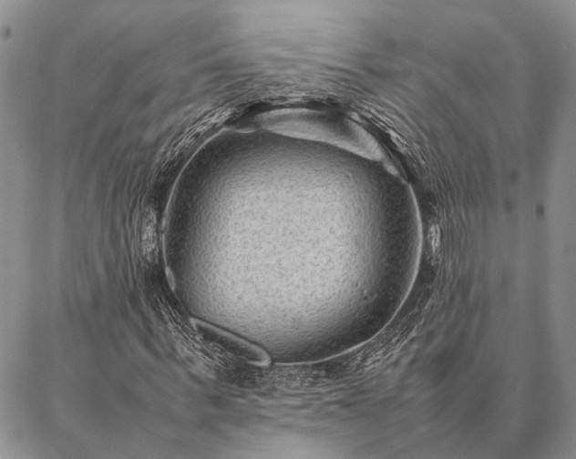 X0000086890963200704231124