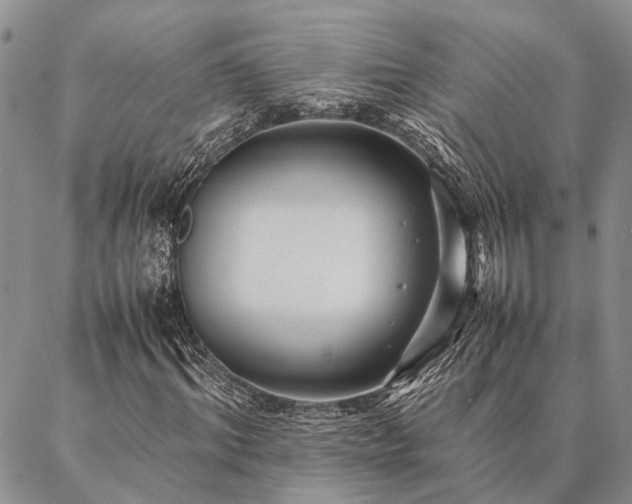 X0000086890964200704231124