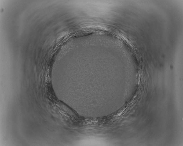 X0000086890965200704231124