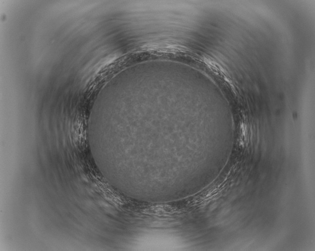 X0000086890966200704231124