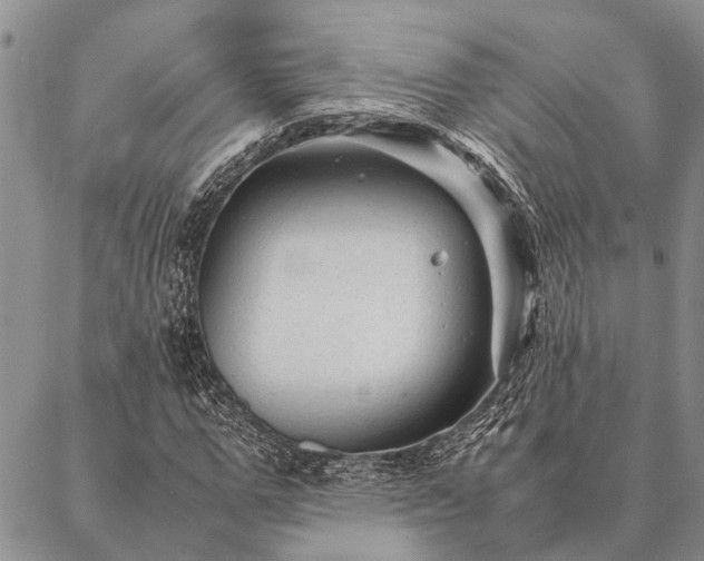 X0000086890967200704231124