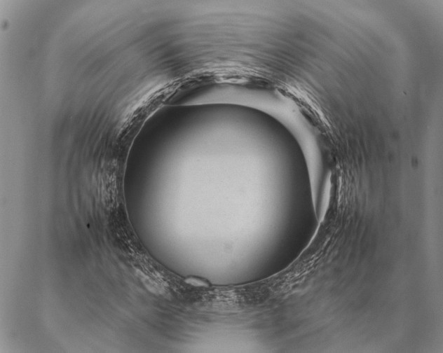 X0000086890968200704231124