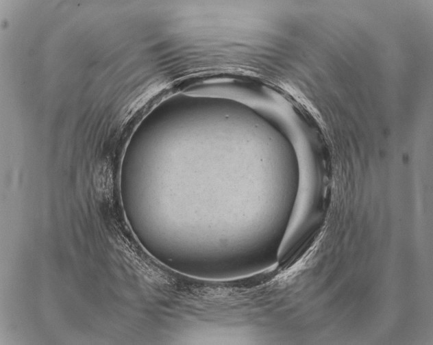 X0000086890969200704231124