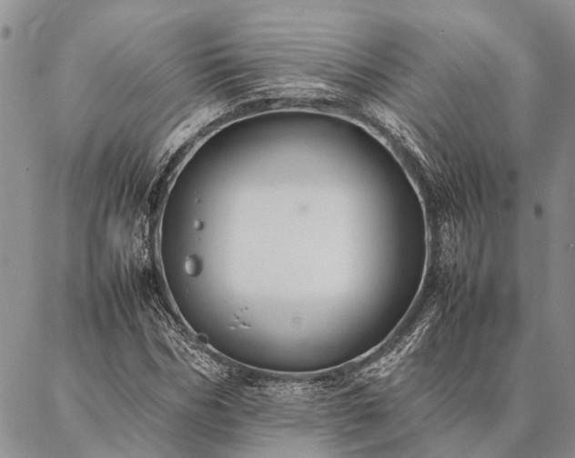 X0000086890970200704231124