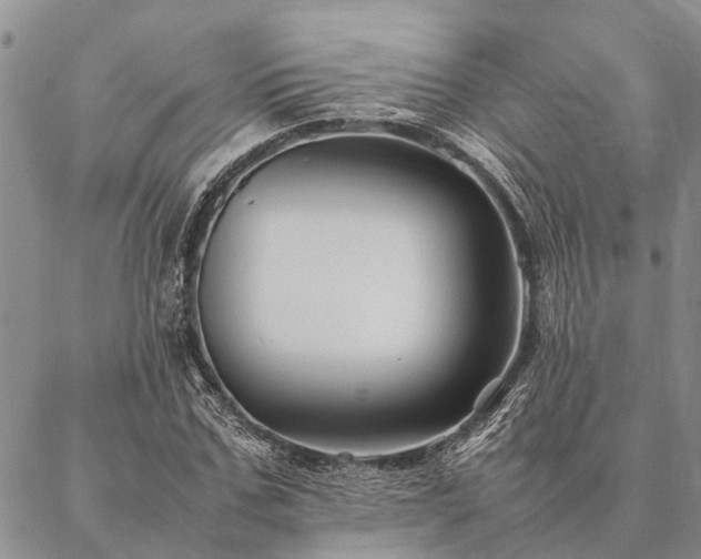 X0000086890971200704231124