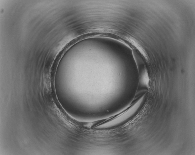 X0000086890972200704231124