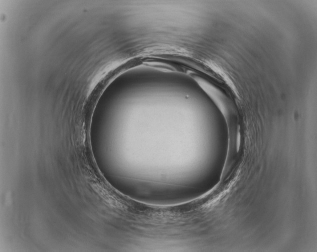 X0000086890973200704231124