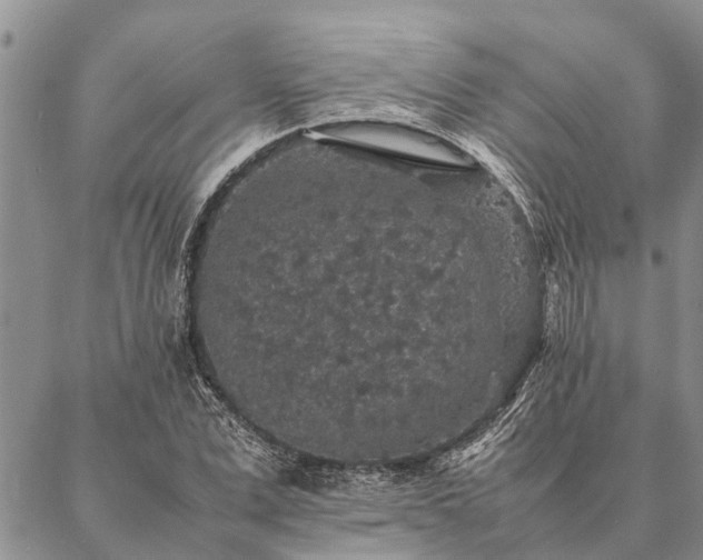 X0000086890975200704231124