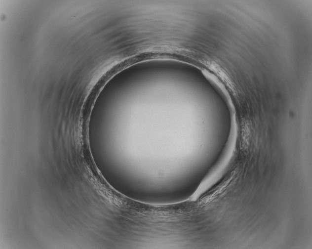 X0000086890976200704231124