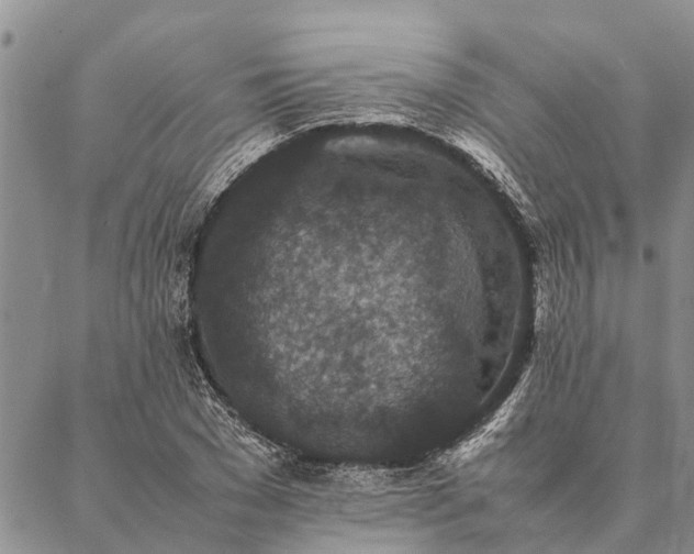 X0000086890977200704231124