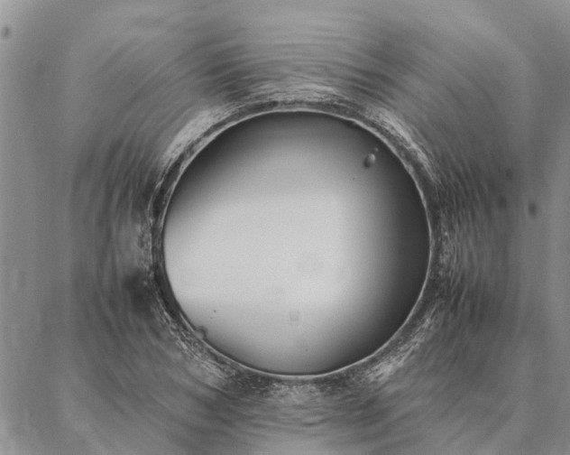 X0000086890978200704231124