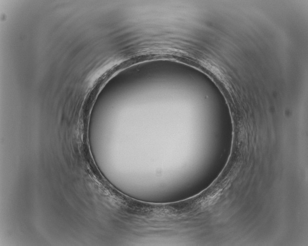 X0000086890979200704231124