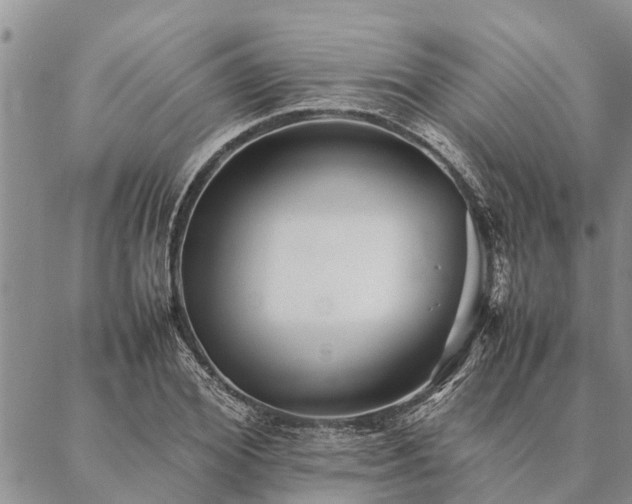 X0000086890980200704231124