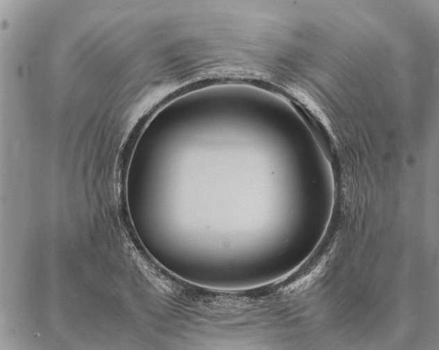 X0000086890981200704231124