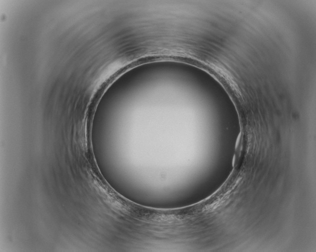 X0000086890982200704231124