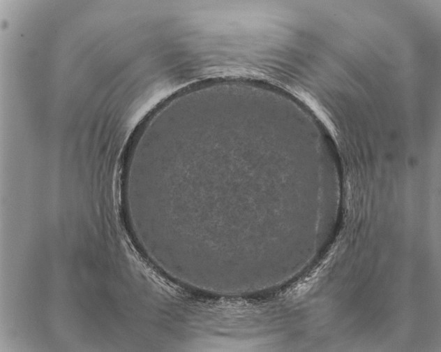 X0000086890983200704231124