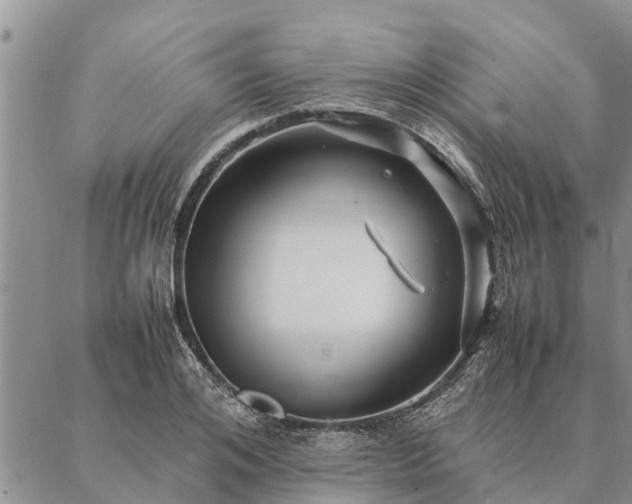 X0000086890984200704231124