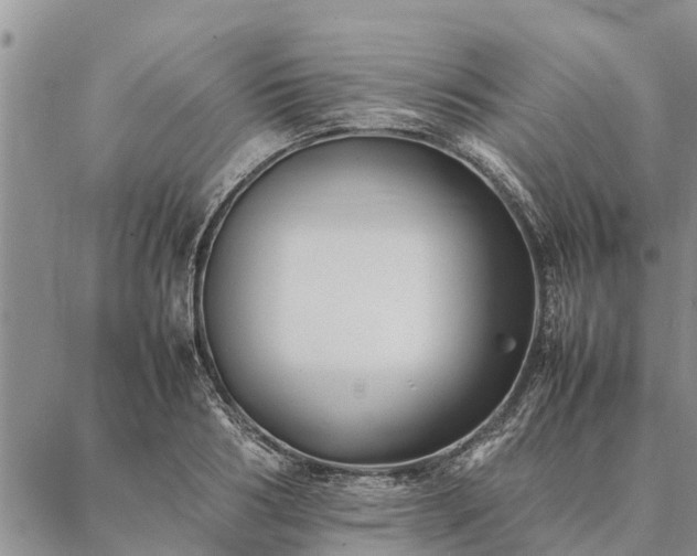 X0000086890986200704231124