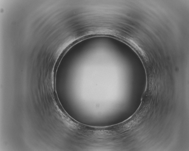 X0000086890988200704231123