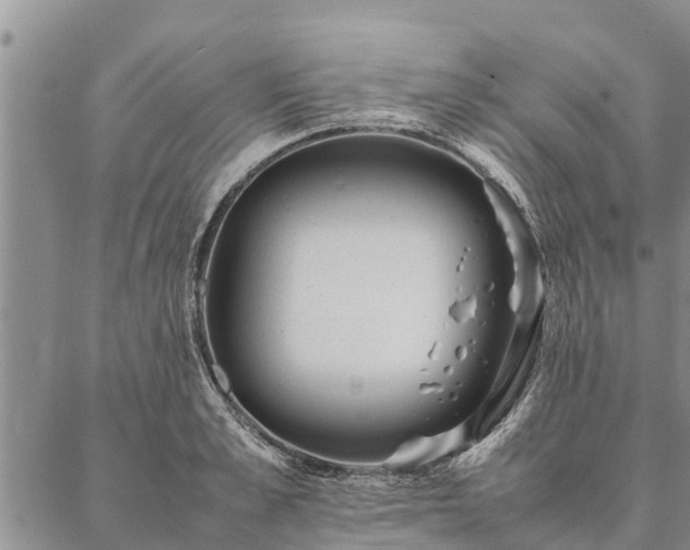 X0000086890989200704231123