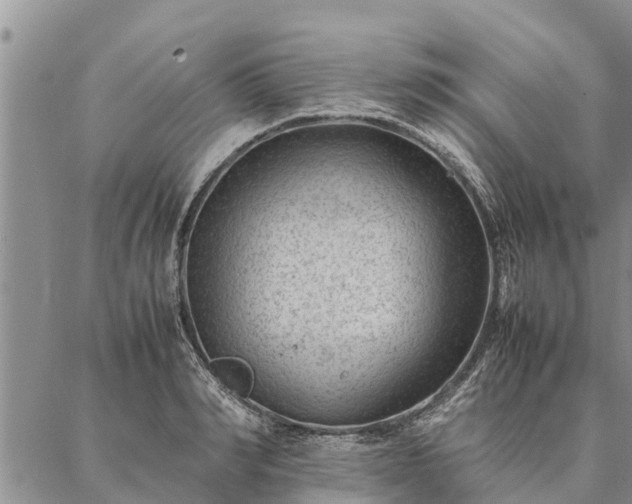 X0000086890990200704231123