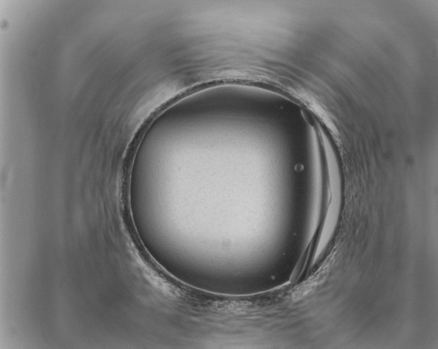 X0000086890991200704231123