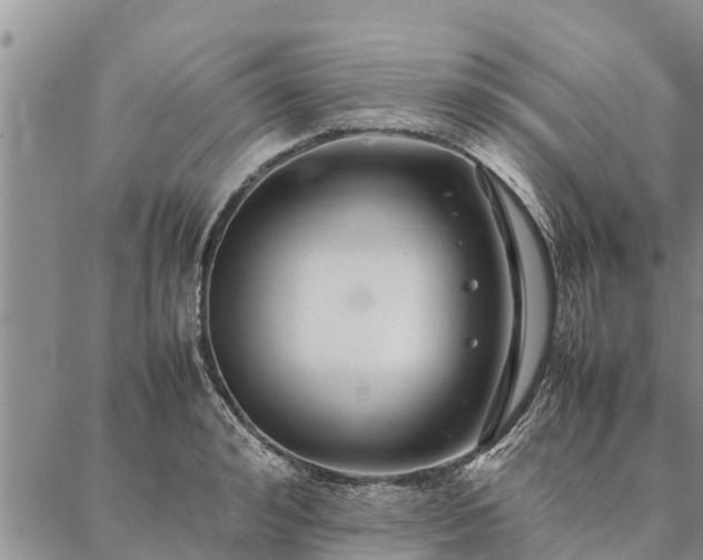 X0000086890992200704231123