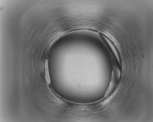 X0000086890993200704231123