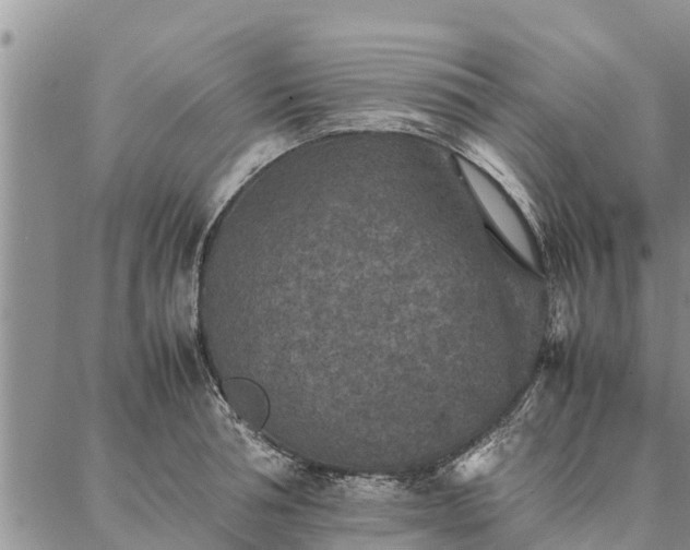 X0000086890994200704231123