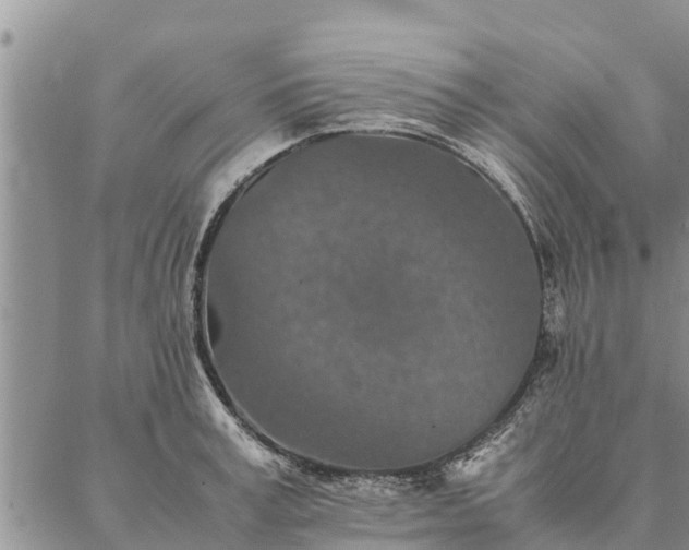 X0000086890995200704231123