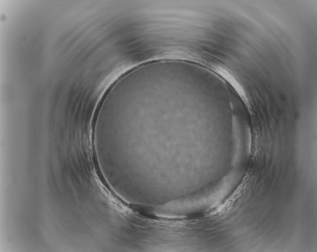 X0000086890996200704231123