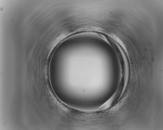 X0000086890997200704231123