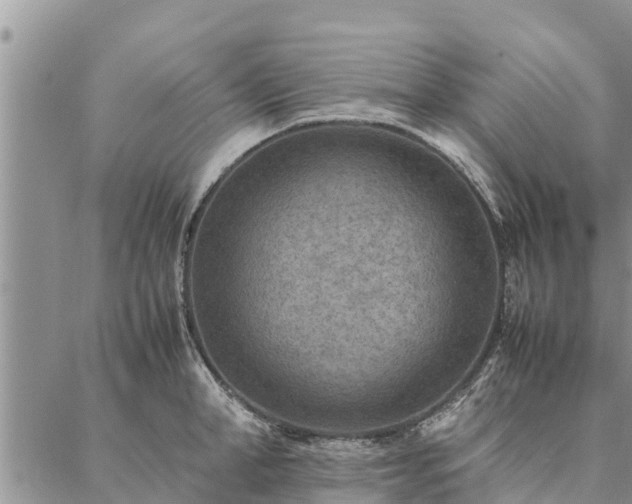 X0000086890998200704231123