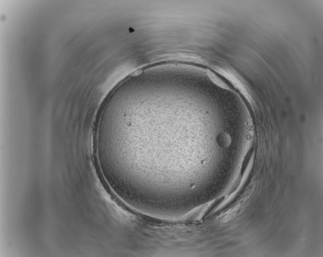 X0000086890999200704231123