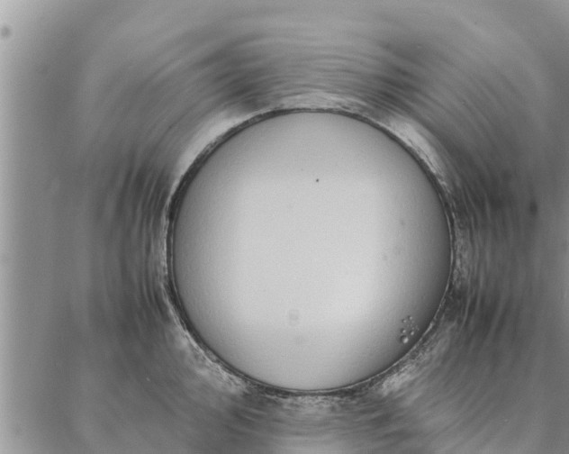 X0000086891000200704231123