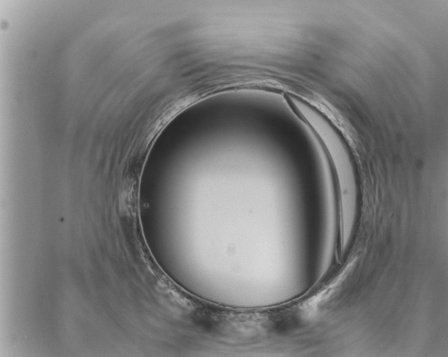 X0000086891001200704231123