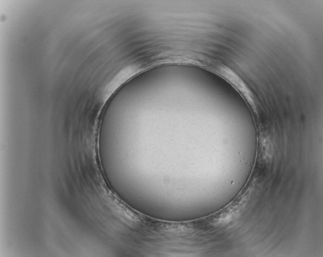 X0000086891002200704231123