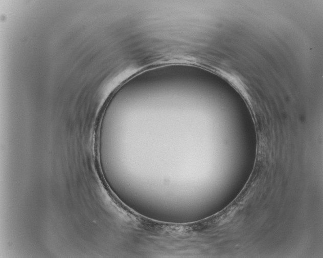 X0000086891003200704231123