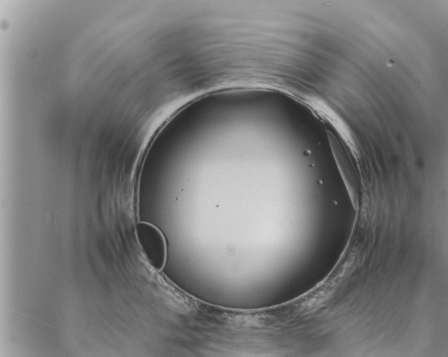 X0000086891004200704231123