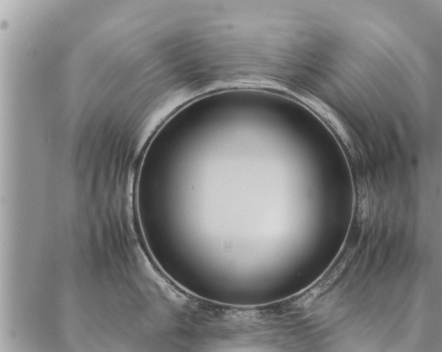 X0000086891006200704231123