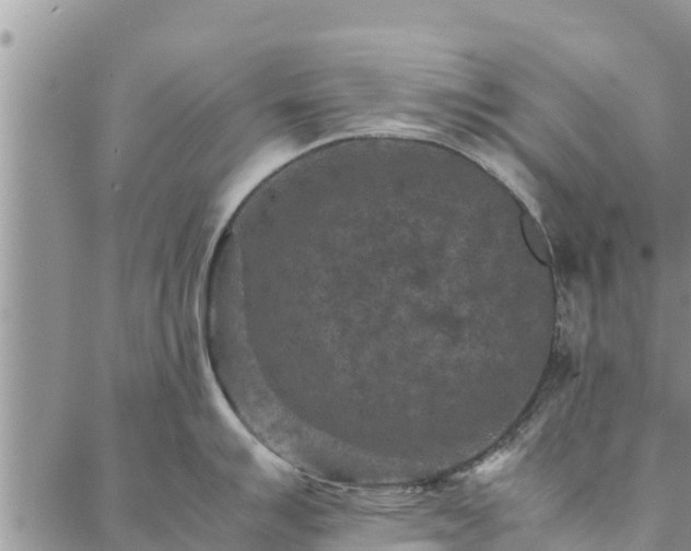 X0000086891007200704231123