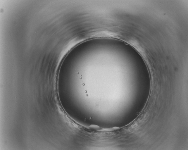 X0000086891008200704231123