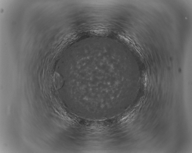 X0000086891009200704231122