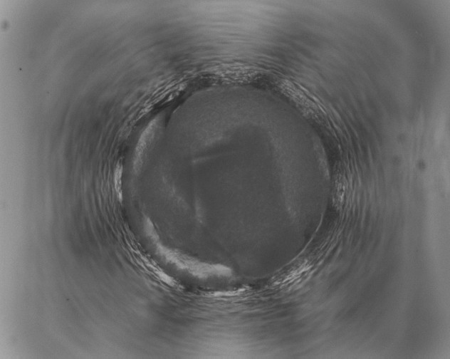 X0000086891010200704231122