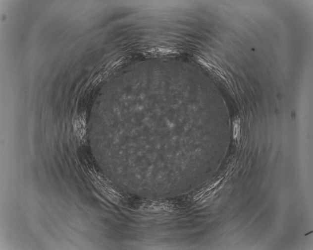 X0000086891011200704231122