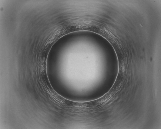 X0000086891012200704231122