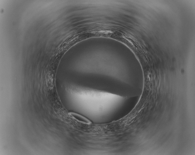 X0000086891013200704231122